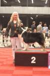 malone 2nd best veteran in show.